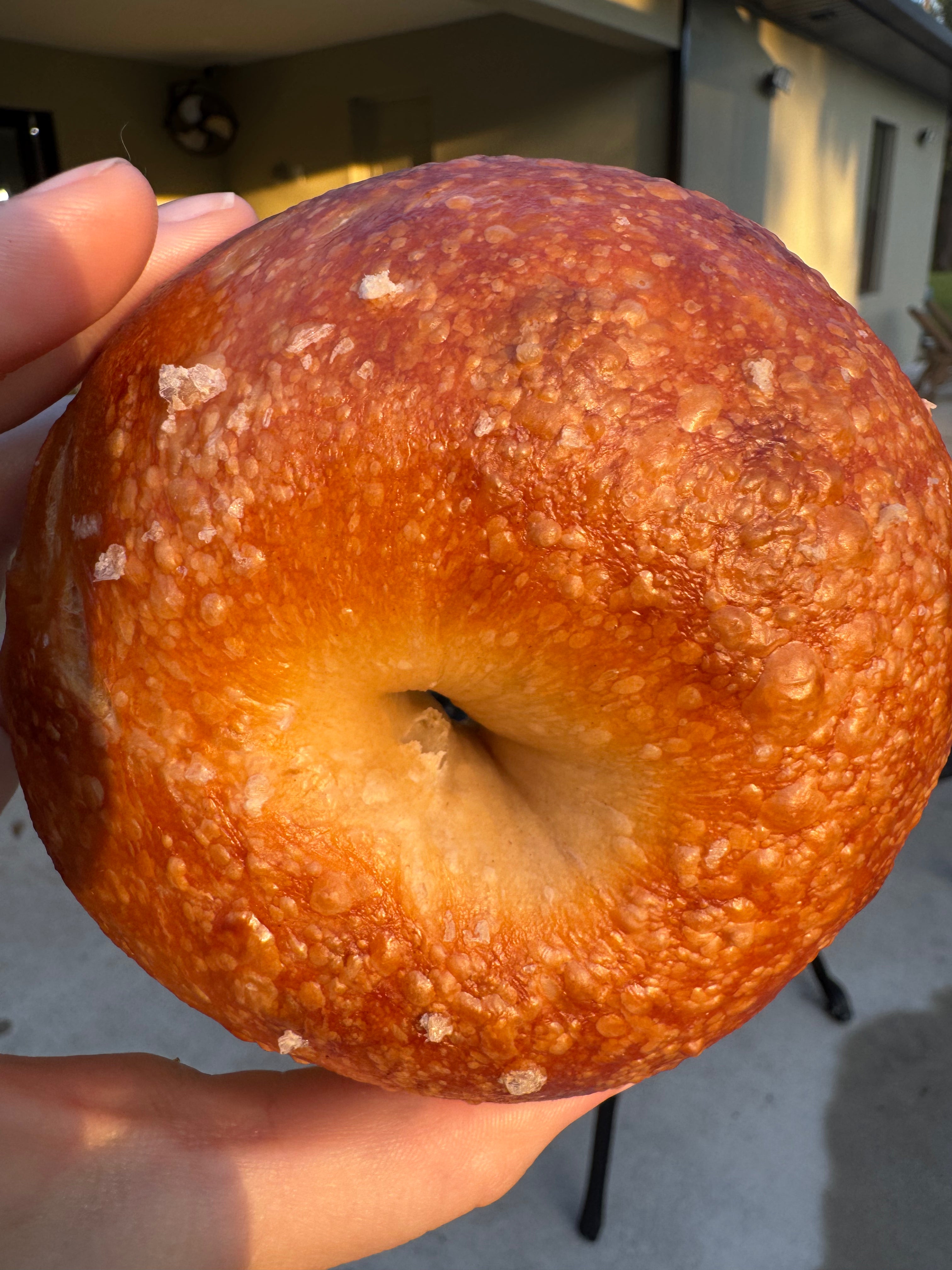 Bagels